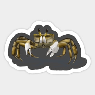 Sand crab Sticker